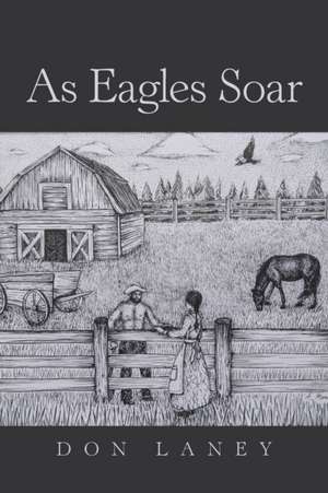As Eagles Soar de Don Laney