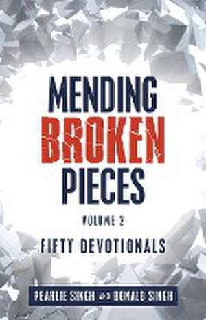 Mending Broken Pieces de Pearlie Singh