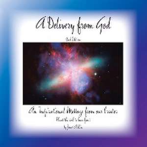 A Delivery from God: An Inspirational Message from Our Creator de Janet Acklin