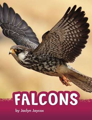 Falcons de Jaclyn Jaycox