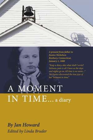 A Moment In Time...a diary de Jan Howard