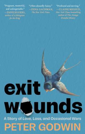 Exit Wounds de Peter Godwin