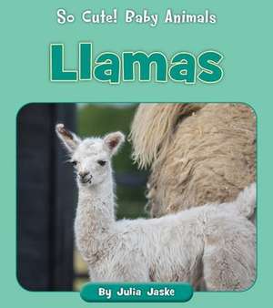 Llamas de Julia Jaske