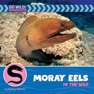 Moray Eels in the Wild de Kathryn Beaton