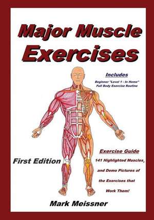 Major Muscle Exercises de Mark Meissner