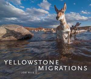 Yellowstone Migrations de Joe Riis