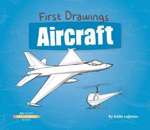Aircraft de Katie Lajiness