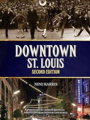 Downtown St. Louis de Nini Harris