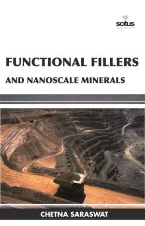 Functional Fillers and Nanoscale Minerals de Chetna Saraswat