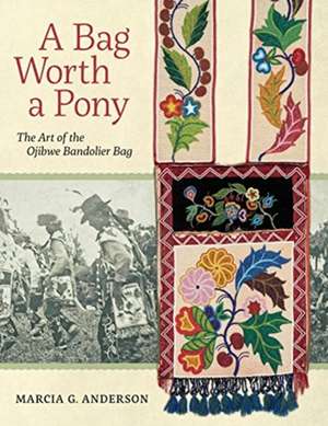 A Bag Worth a Pony de Marcia G. Anderson