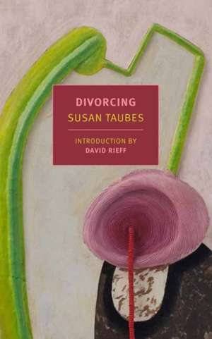 Divorcing de Susan Taubes