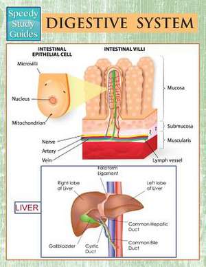 Digestive System (Speedy Study Guides): Math 9th Grade (Speedy Study Guides) de Speedy Publishing LLC