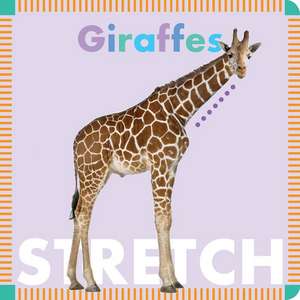 Giraffes Stretch de Rebecca Glaser