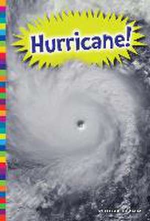 Hurricane! de Elizabeth Raum