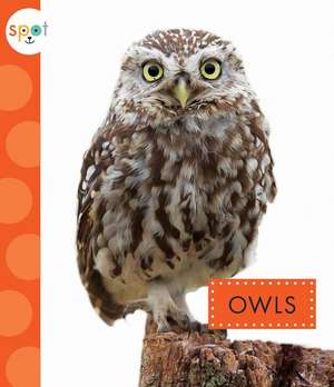 Owls de Wendy Strobel Dieker