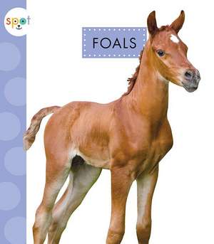 Foals de Anastasia Suen