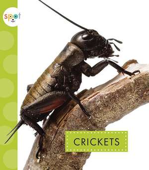 Crickets de Nessa Black