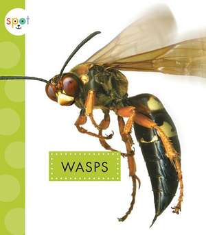 Wasps de Nessa Black