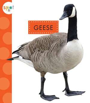 Geese de Mari C. Schuh