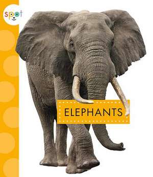 Elephants de Mary Ellen Klukow