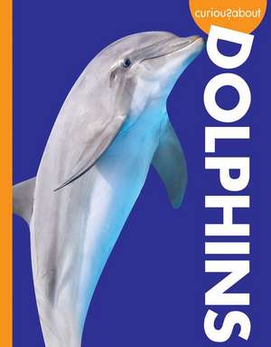 Curious about Dolphins de Annie C Holdren