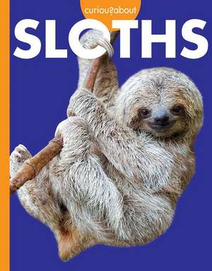 Curious about Sloths de Amy S Hansen