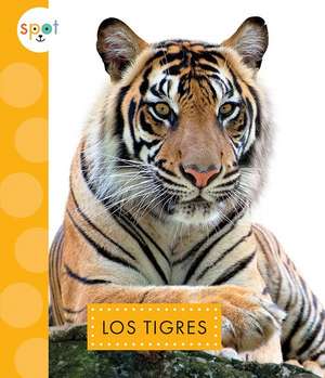 Los Tigres de Alissa Thielges