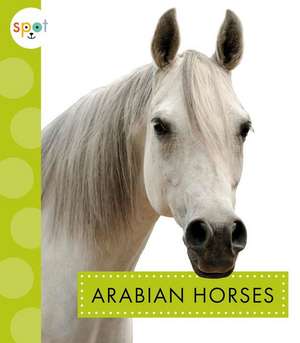 Arabian Horses de Alissa Thielges