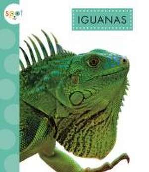 Iguanas de Alissa Thielges