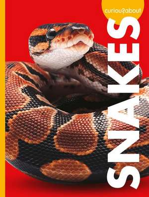 Curious about Snakes de Alissa Thielges