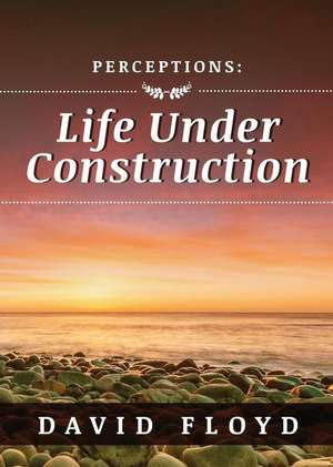 Perceptions: Life Under Construction de David Floyd