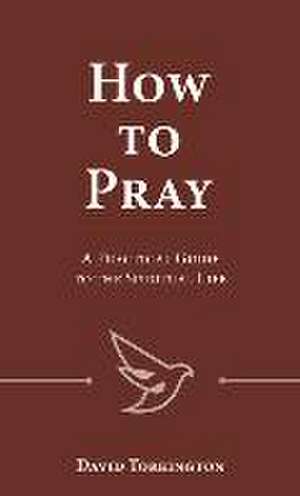 How to Pray de David Torkington