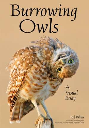 Burrowing Owls: A Visual Essay de Rob Palmer