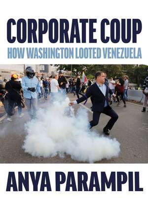 Corporate Coup de Anya Parampil