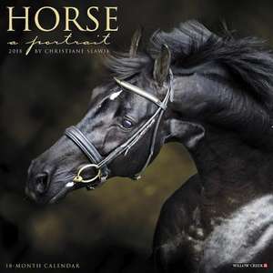 Horse: A Portrait 2018 Wall Calendar de Willow Creek Press