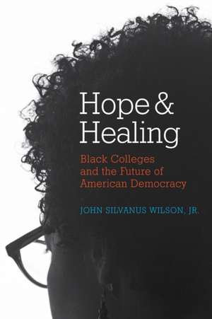 Hope and Healing de John Silvanus Wilson