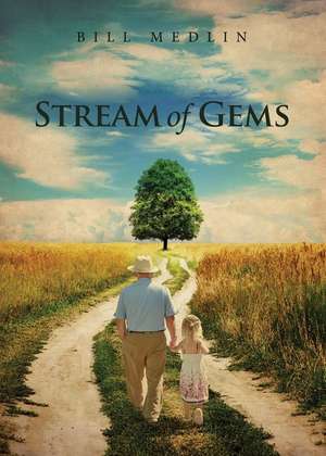 Stream of Gems de Bill Medlin