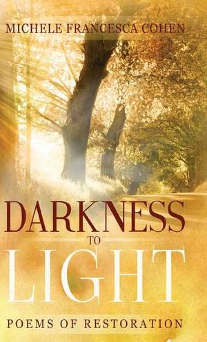 Darkness to Light de Robert Johnston