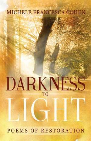 Darkness to Light de Cohen Michele Francesca