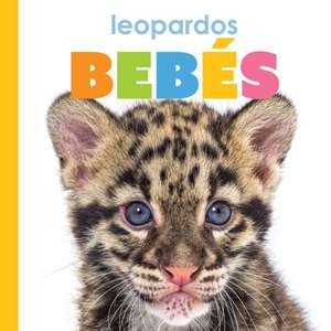 Leopardos Bebes de Meg Greve