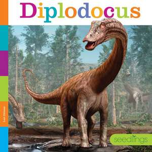 Diplodocus de Lori Dittmer