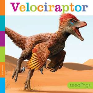 Velociraptor de Lori Dittmer