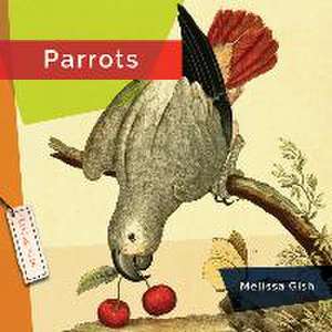 Parrots de Rachael Hanel