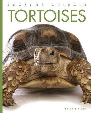 TORTOISES