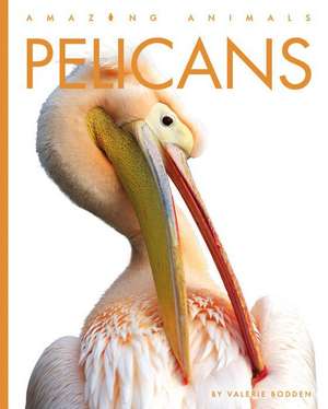 Pelicans de Valerie Bodden