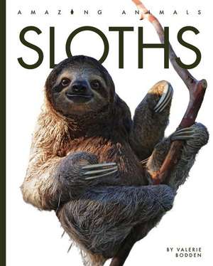 Sloths de Valerie Bodden