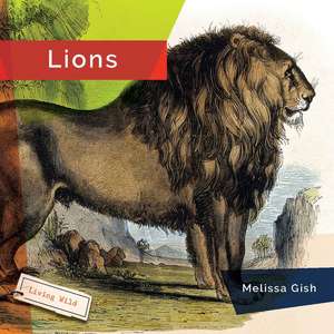 Lions de Rachael Hanel