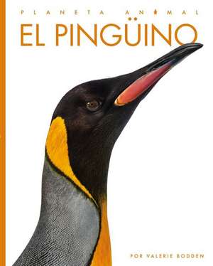 El Pingüino de Valerie Bodden