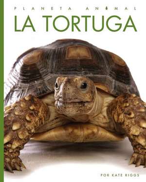 La Tortuga de Kate Riggs