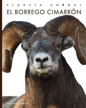 El Borrego Cimarrón de Valerie Bodden